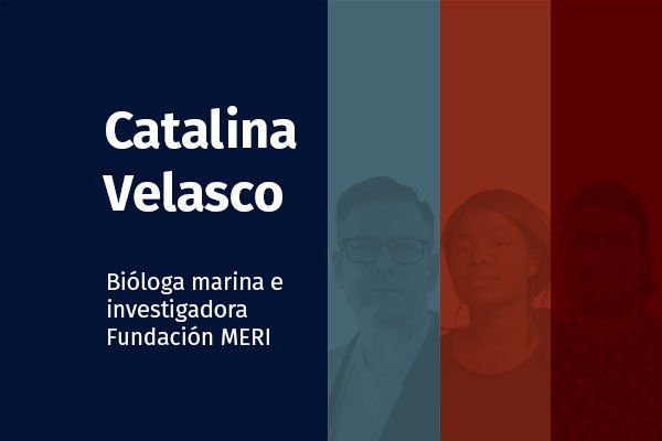 Catalina Velasco