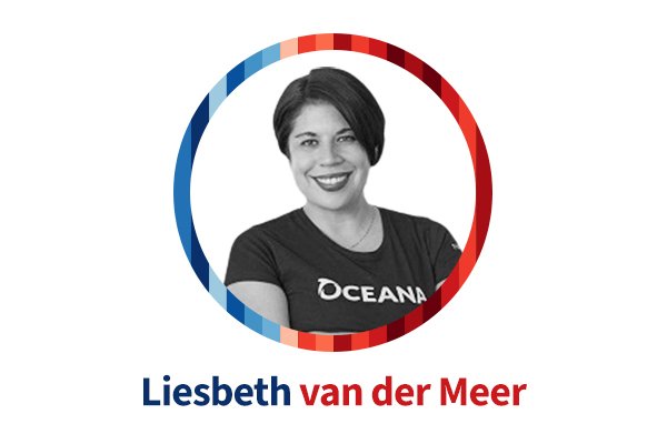 Liesbeth van der Meer