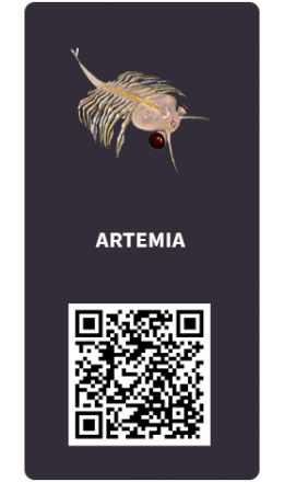 Tarjetas_Artemia