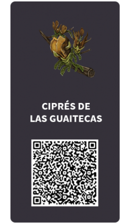 Tarjetas_Cipres de las Guaitecas