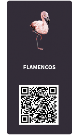 Tarjetas_Flamencos