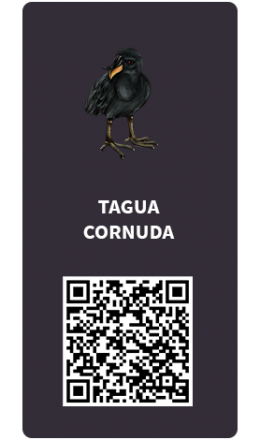 Tarjetas_tagua-cornuda