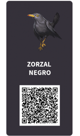 Tarjetas_zorzal negro