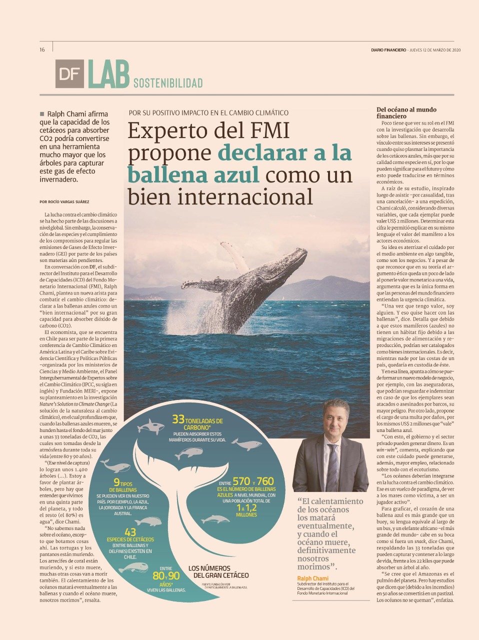 df-experto-del-fmi-propone-declarar-a-la-ballena-azul-como-un-bien-internacional-diario-financiero